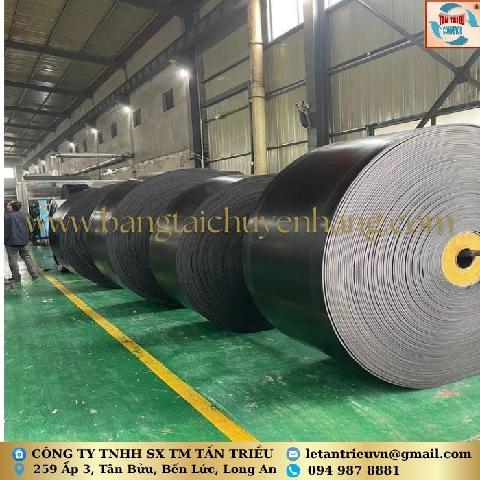 Dây băng tải cao su Tấn Triều