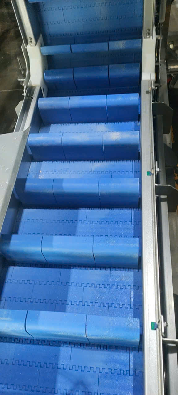 Băng tải lưới nhựa