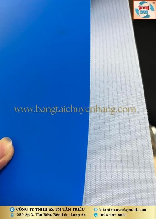 Băng Tải Thực Phẩm