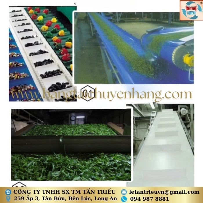 Băng Tải Thực Phẩm