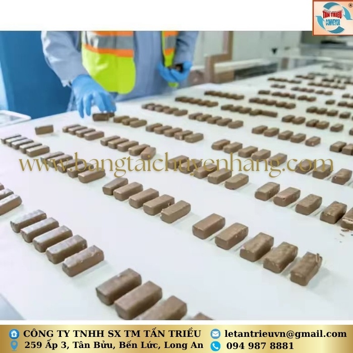 Băng Tải Thực Phẩm