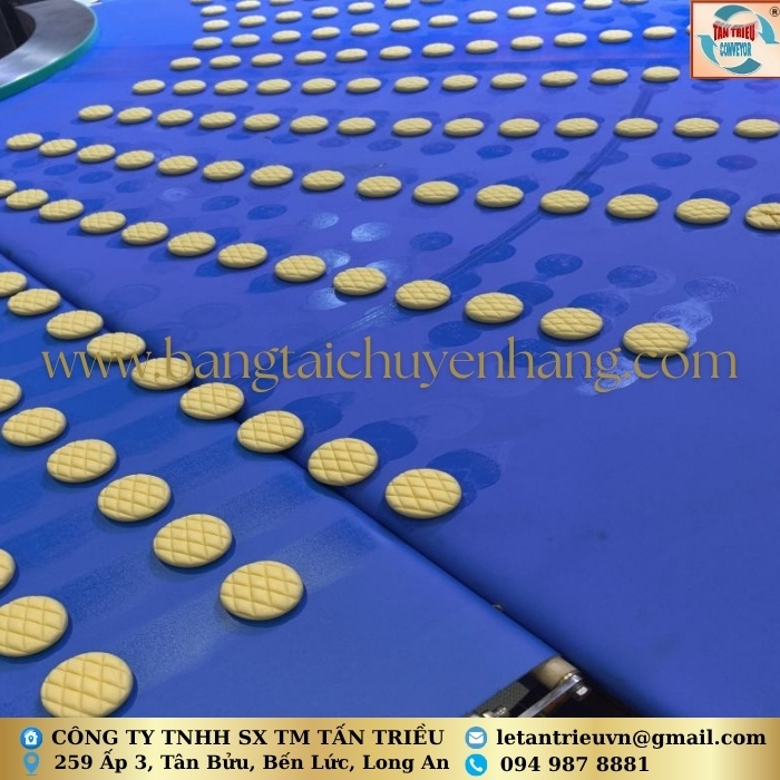 Băng Tải Thực Phẩm
