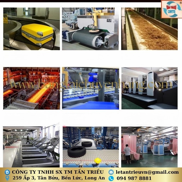 Hệ thống băng tải Tấn Triều