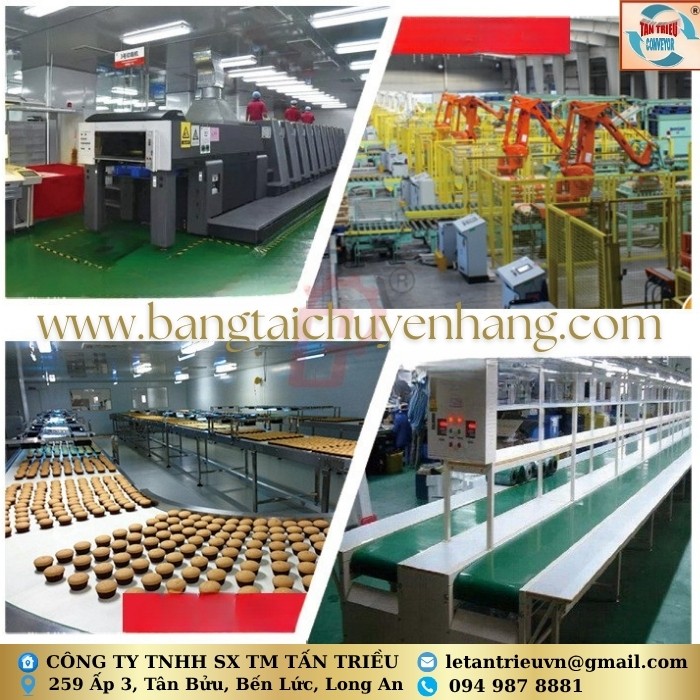 Băng Tải Thực Phẩm