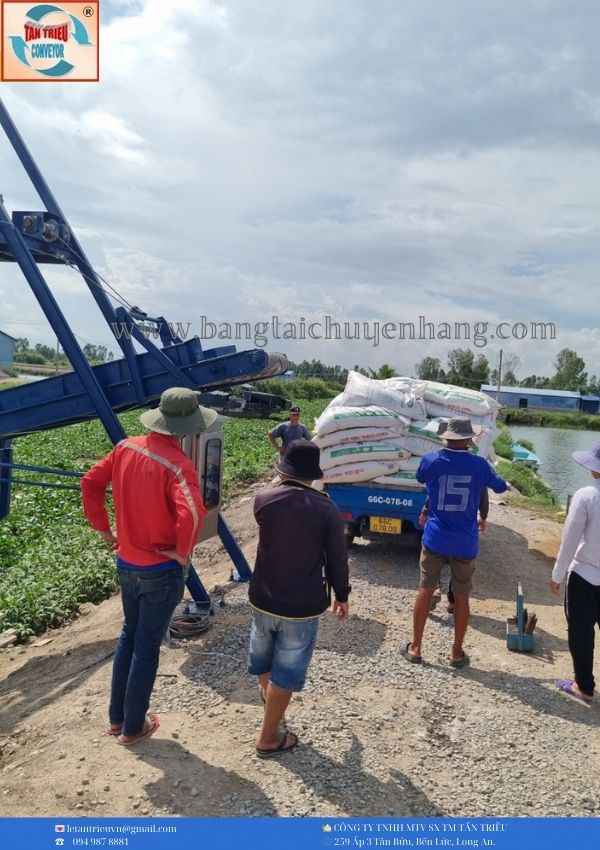 Băng Tải Cầu Cảng