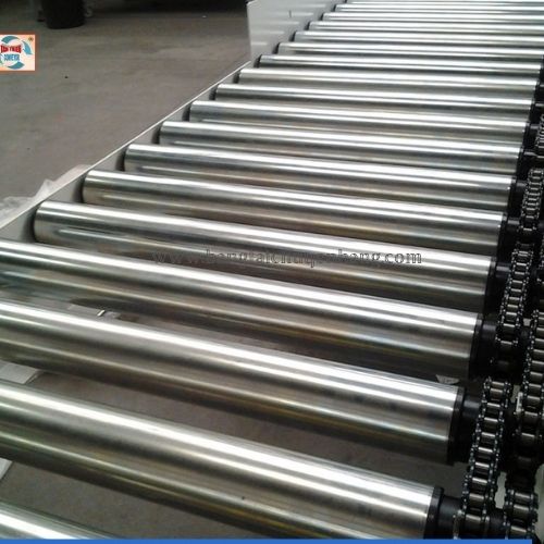Băng Tải Con Lăn Inox