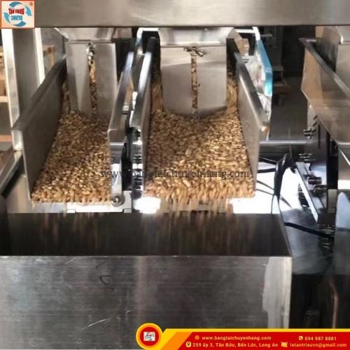Băng Tải Gàu Múc