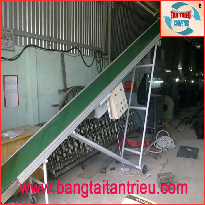 Băng tải nâng hạ 01